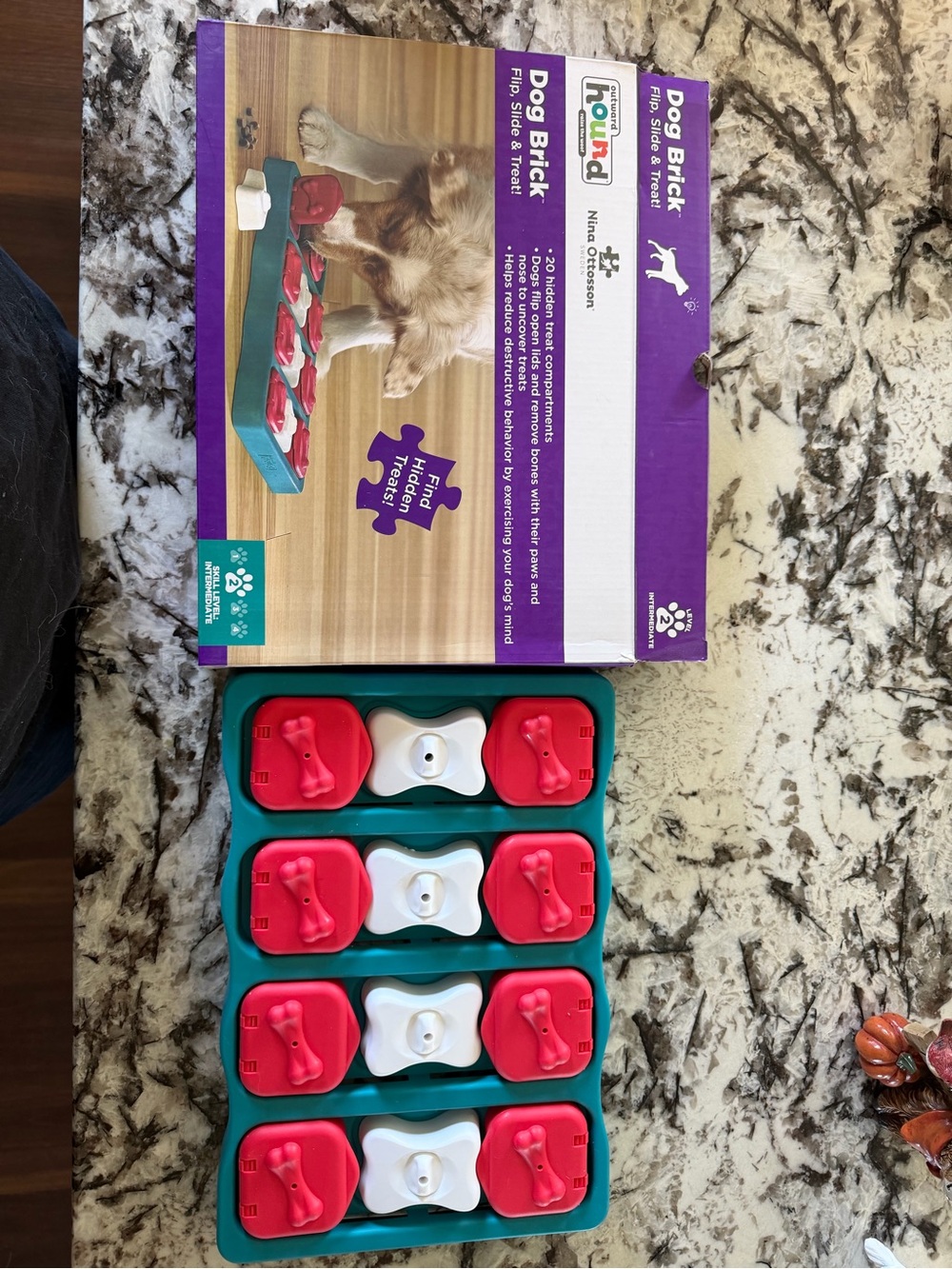 Dog Puzzle Toy